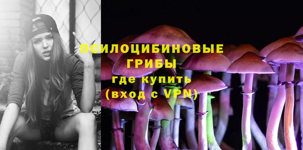 мдма Богородицк