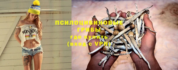 прущий лед Бородино